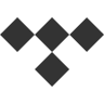 TIDAL Icon